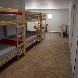 Bunk Bed Mixed Dormitory Room